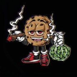 stonertvv